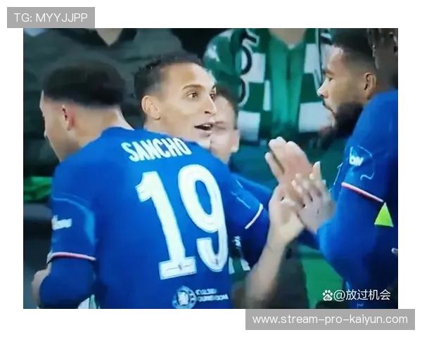 尼斯球迷在球队大比分落后时依然加油助威